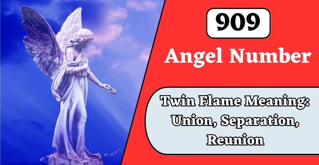909 angel number twin flame