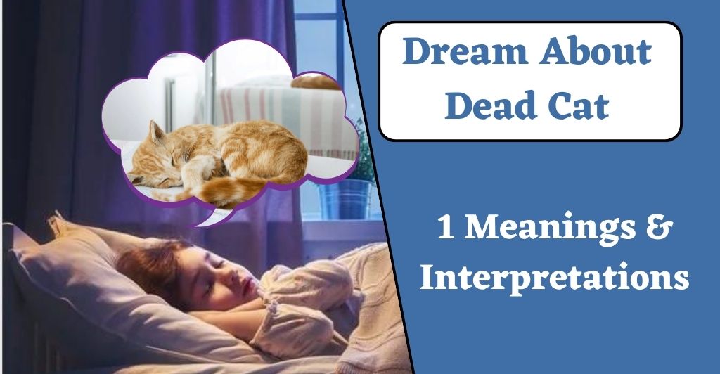 Dream About Dead Cat