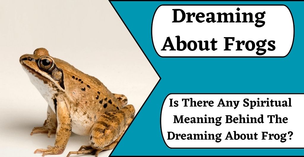 dreaming about frogs