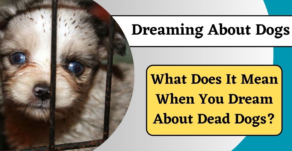 dreaming about dead dogs