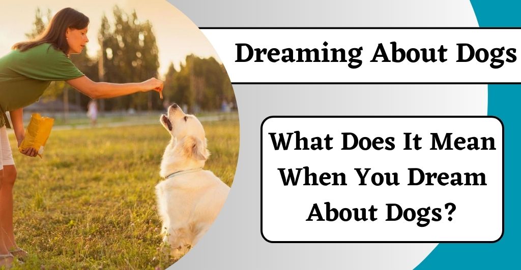 dreaming about dogs